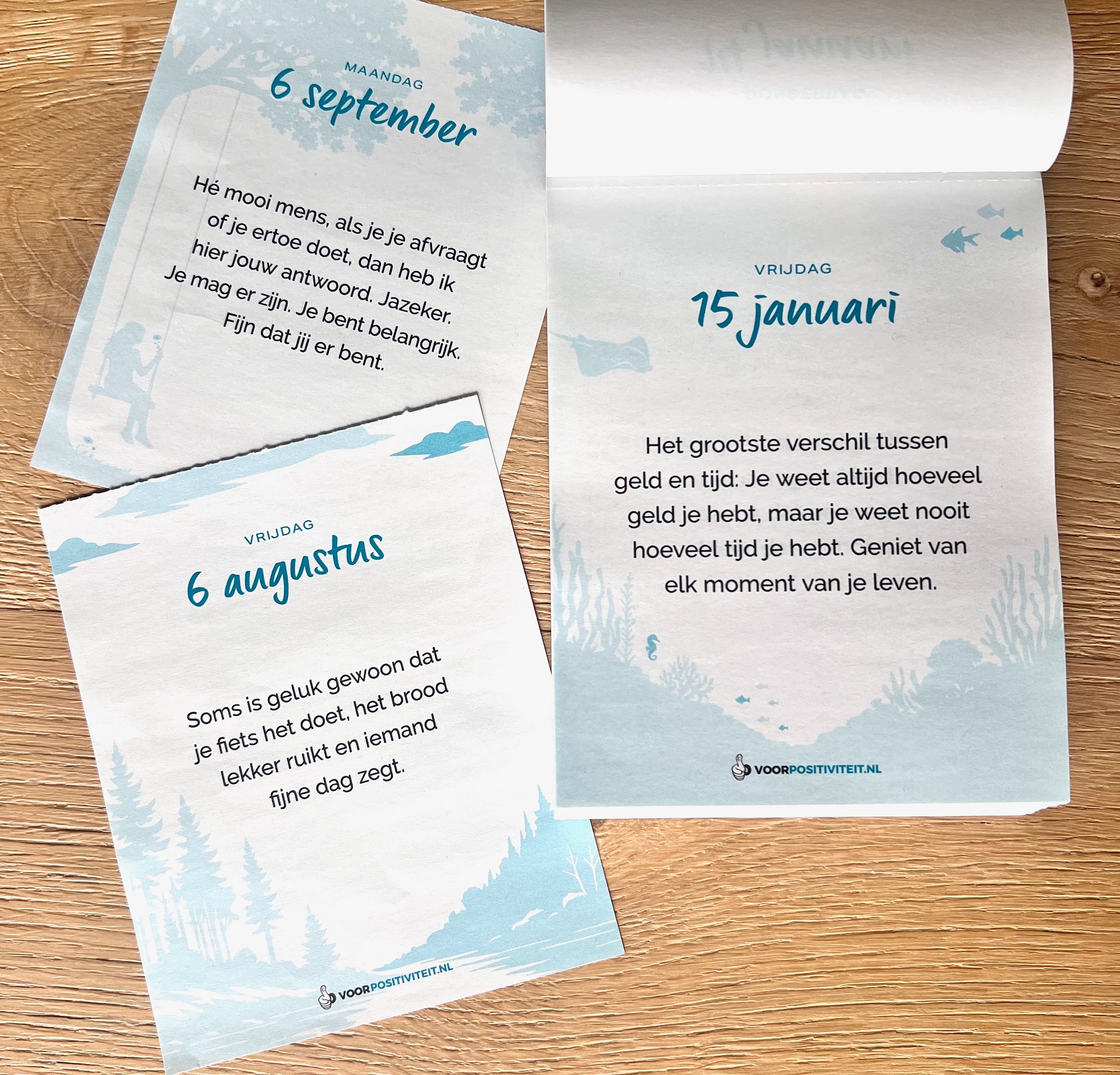 Scheurkalender voor positiviteit 2027 3 spreuken